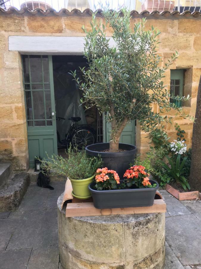 Maison De Maitre Elegia Castillon-la-Bataille Luaran gambar